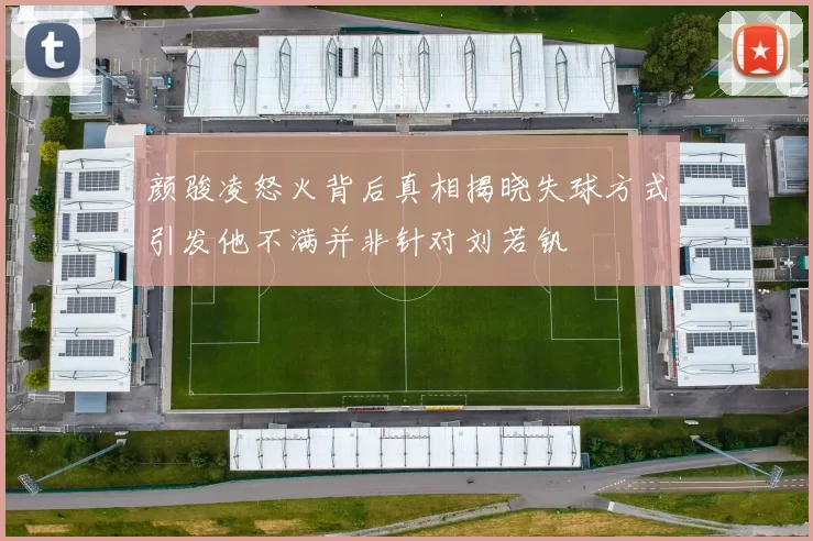 颜骏凌怒火背后真相揭晓失球方式引发他不满并非针对刘若钒